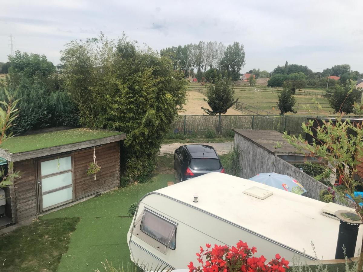 Gardencaravan Near Ghent In Green Area Eksteriør bilde